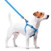 Blue Waterproof Heavy Duty Dog Harness for Small Dogs